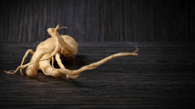 GINSENG et troubles cognitifs