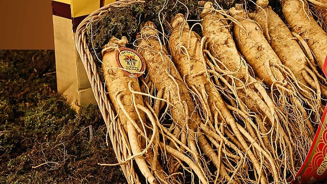 Ginseng et NAFLD