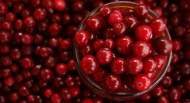 Canneberge et maladies cardiovasculaires
