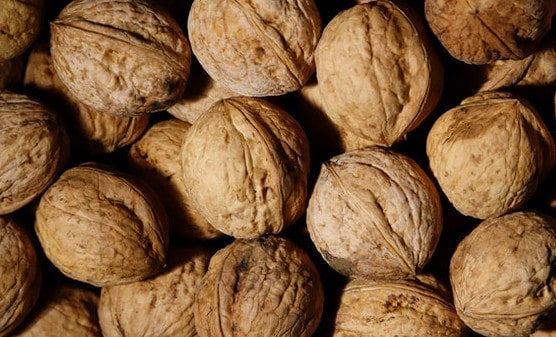 Noix et risque cardiovasculaire
