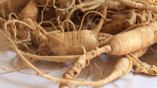 Ginseng et ostéopénie