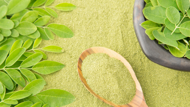 Moringa et prédiabète