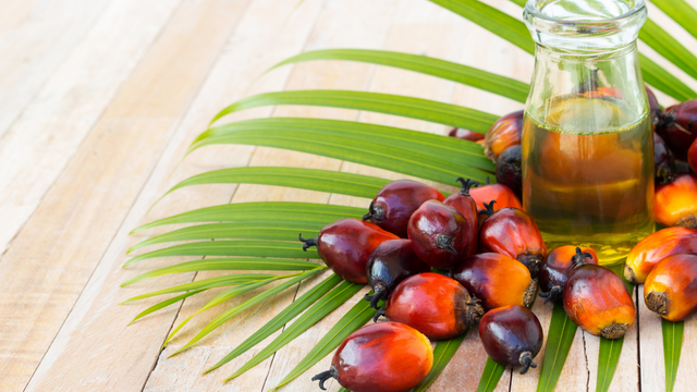 Vitamine E et rétinopathie diabétique