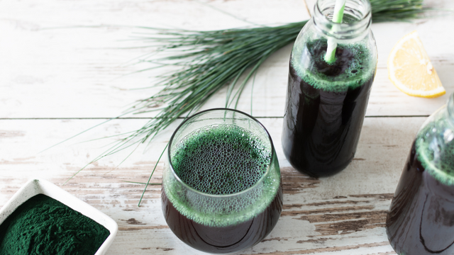 Spiruline et immunité des athlètes