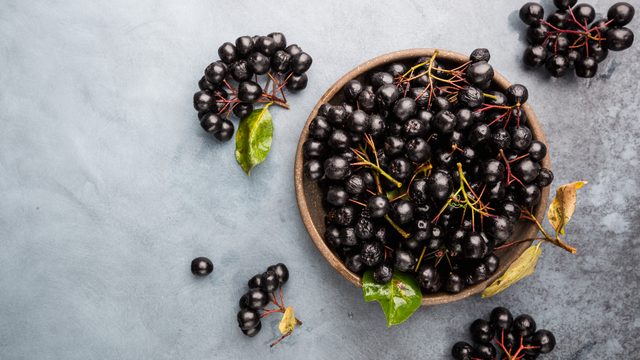 Extraits de baies d’aronia et sport
