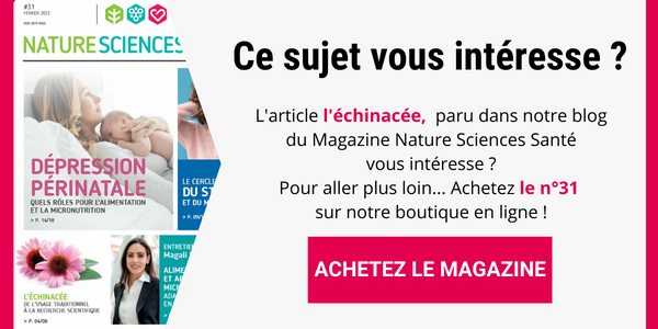 Vers le numéro 31 ou il y a un article sur l'échinacée