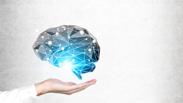 Magnésium et santé du cerveau