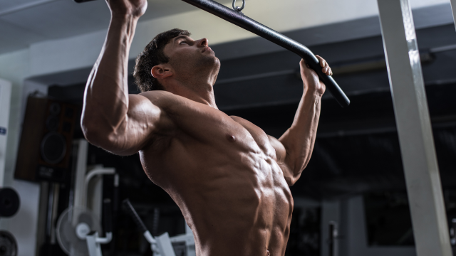 Ubiquinol et performances physiques