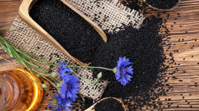 Nigelle et système immunitaire