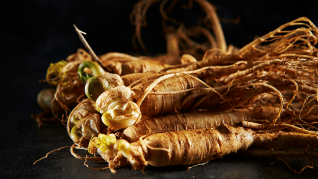 Ginseng rouge coréen et stress