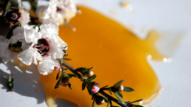 Miel de manuka et RGO