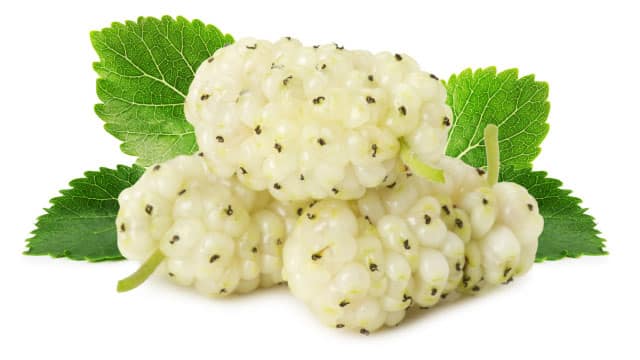 Extrait de fruits du mûrier et diabète