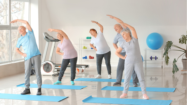 Acides aminés branchés, exercice physique et bien-être des personnes âgées